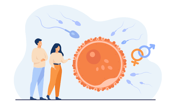 IVF vs IUI: Which Fertility Treatment Is Right For You?