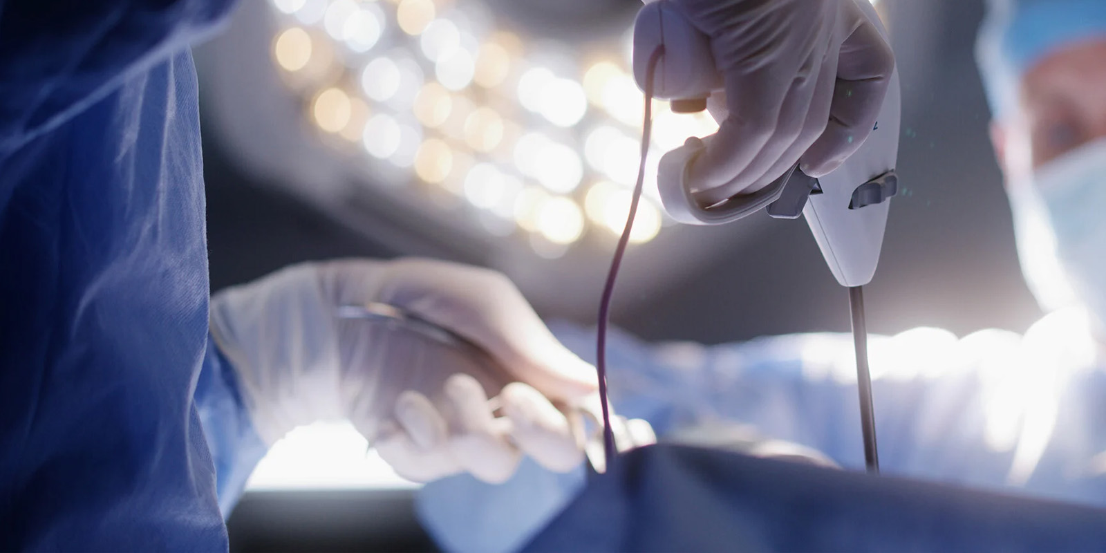 Your Journey to Parenthood Starts Here